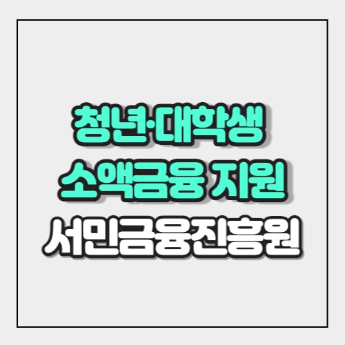 청년대학생 소액금융지원