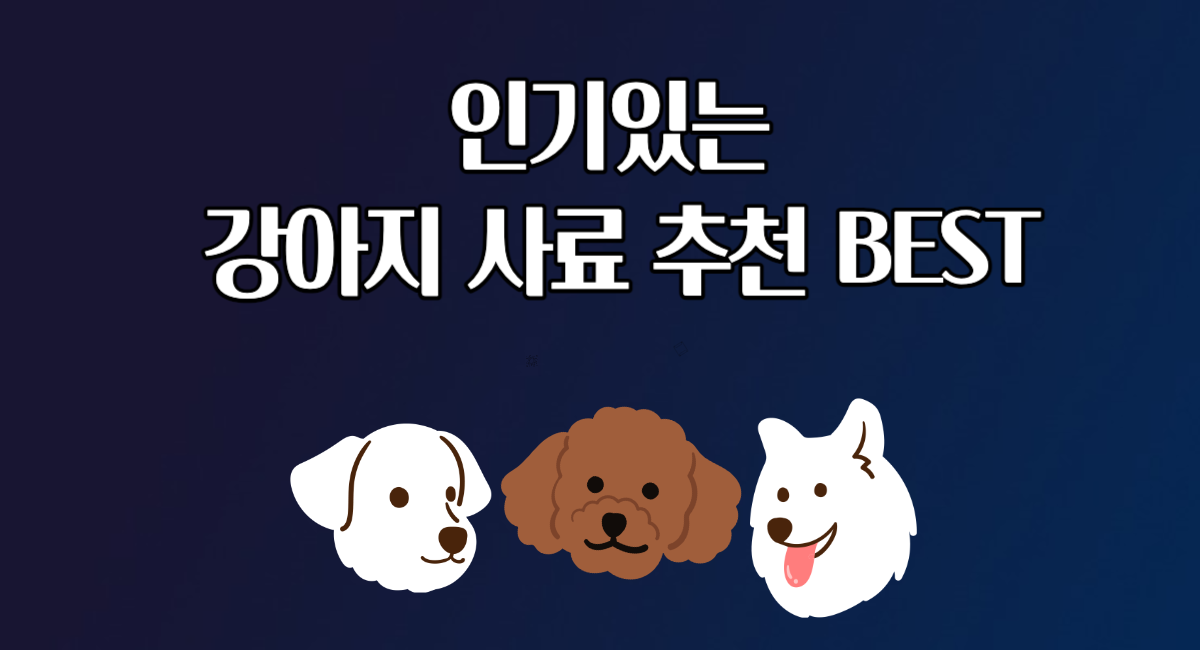 인기있는 강아지 사료 추천 BEST