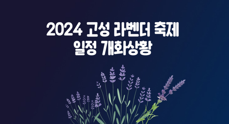 2024 고성 하늬팜 라벤더 축제 일정 개화 상황 입장료