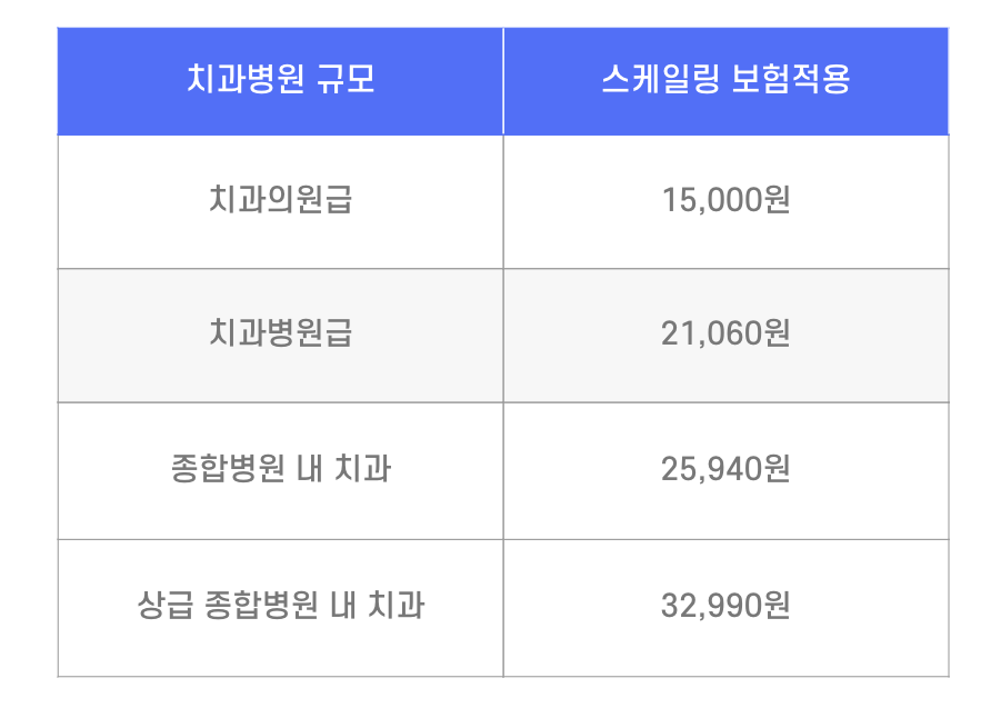 보험 적용 스케일링 가격