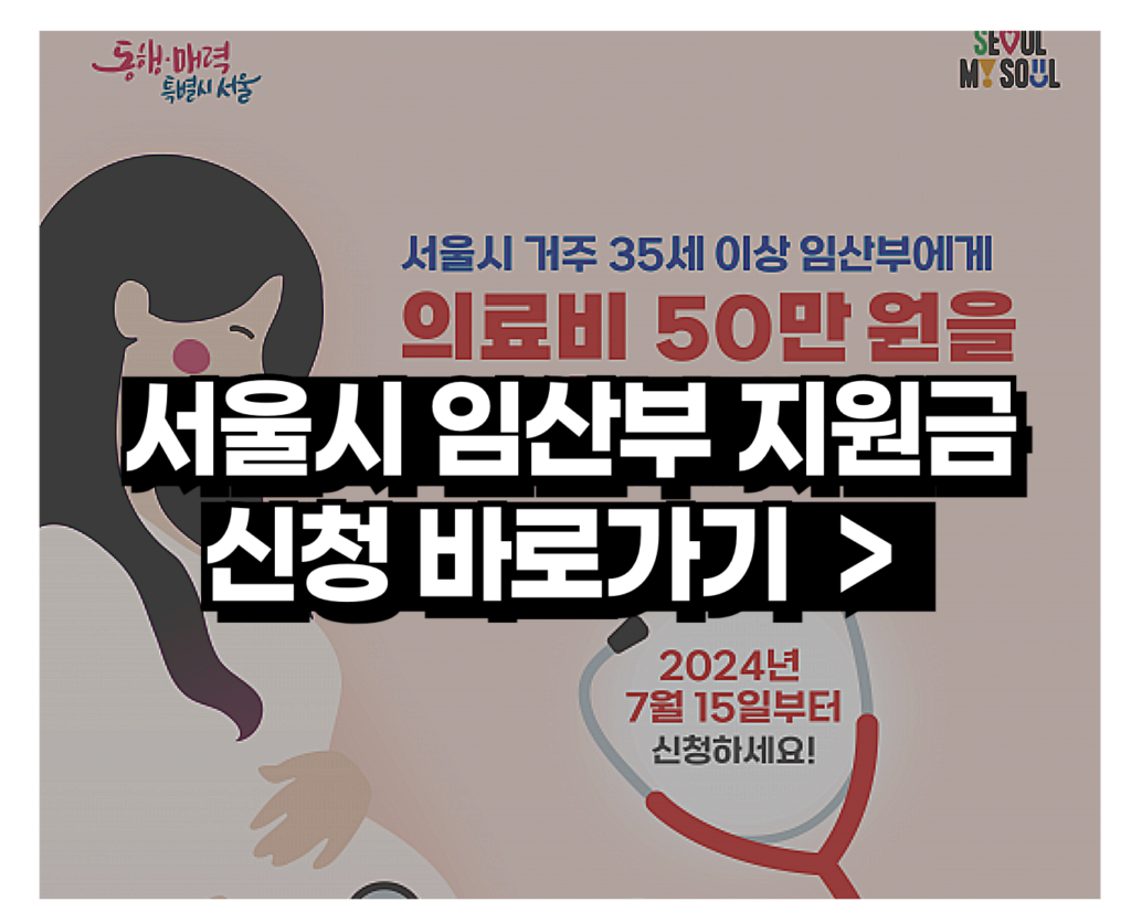 서울시 산전 의료비 대상 신청 방법