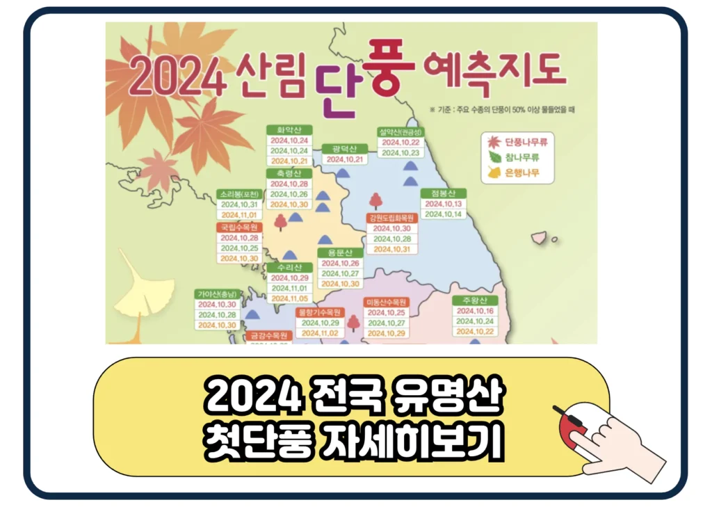 2024 산림청 단풍 절정 지도 명소 산 BEST