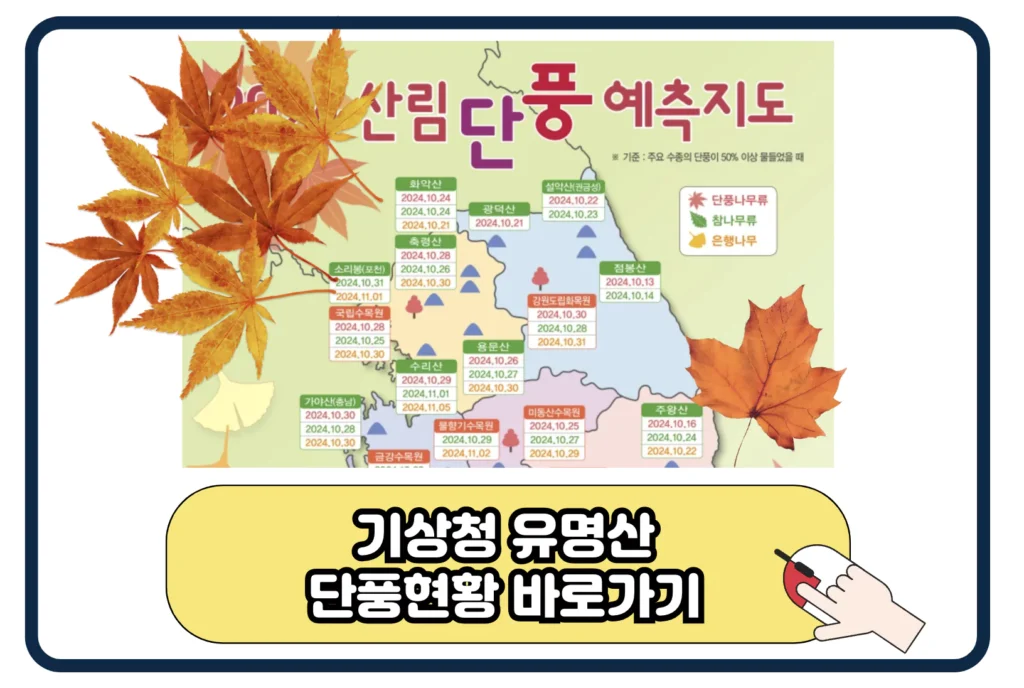 2024 유명산 단풍 시기 절정 지도 설악산 내장산 지리산 한라산 수목원