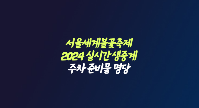 서울세계불꽃축제 2024 일정 실시간 생중계 주차 준비물 명당