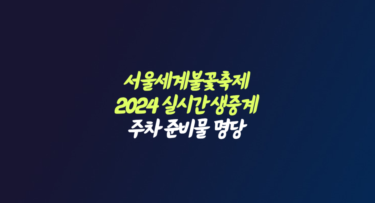 서울세계불꽃축제 2024 일정 실시간 생중계 주차 준비물 명당