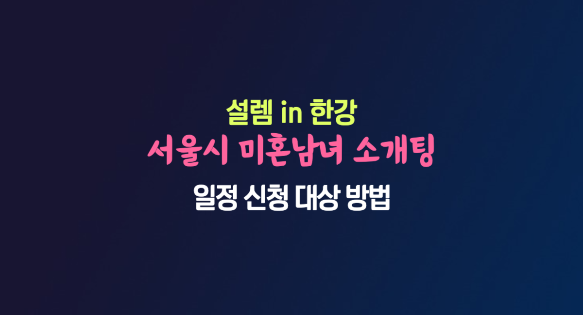 설렘 in 한강 서울시 미혼남녀 소개팅 일정 신청 방법 나는솔로 서울판